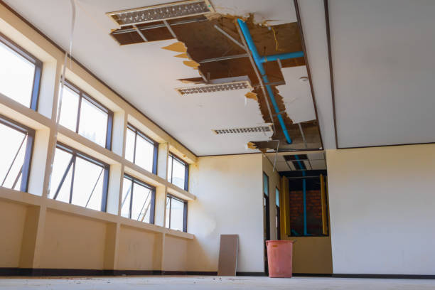  Silver Springs Shores, FL Water damage restoration Pros