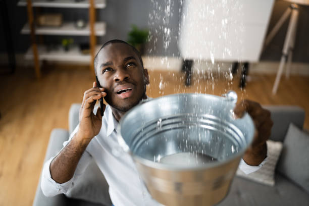 Best Ceiling water damage repair  in Silver Springs Shores, FL