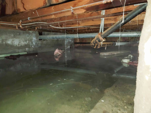Best 24/7 water damage repair  in Silver Springs Shores, FL