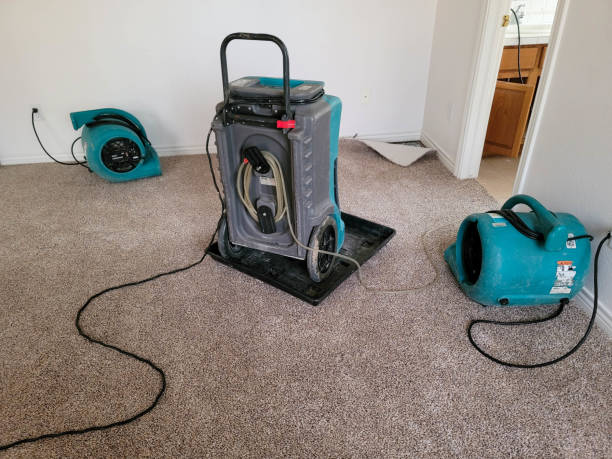 Best Fire Damage Restoration  in Silver Springs Shores, FL