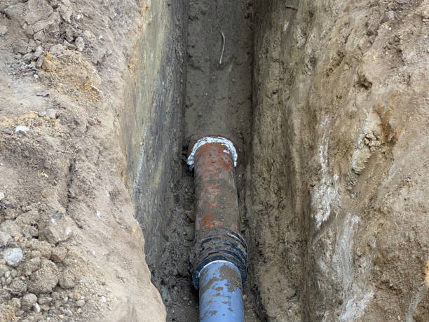 Best Sewage cleanup and water damage restoration  in Silver Springs Shores, FL