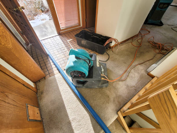 Water damage restoration experts in FL