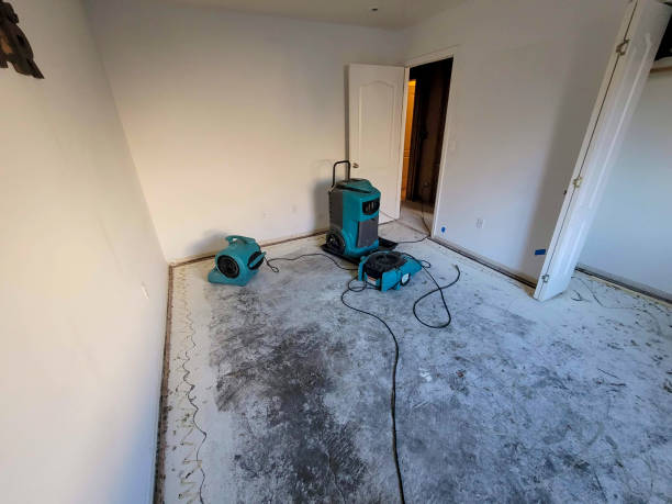 Best Water damage cleanup near me  in Silver Springs Shores, FL