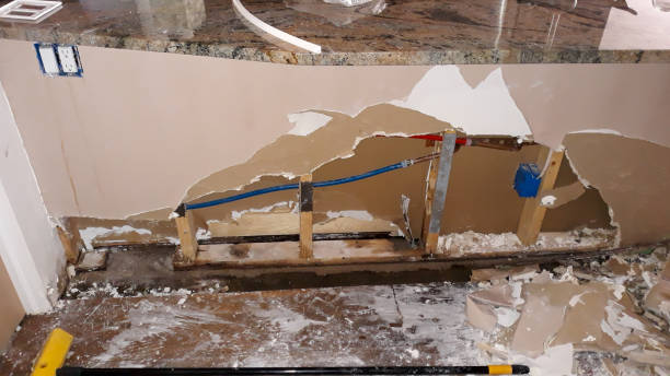 Best Water damage restoration experts  in Silver Springs Shores, FL