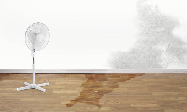 Best Sewage cleanup and water damage restoration  in Silver Springs Shores, FL