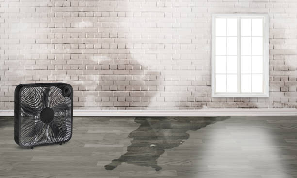 Best 24-hour water damage restoration  in Silver Springs Shores, FL