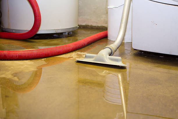 Best Water damage restoration near me  in Silver Springs Shores, FL
