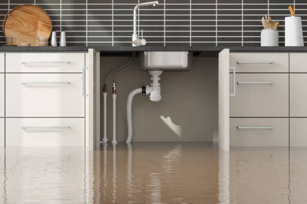 Best Sewage cleanup and water damage restoration  in Silver Springs Shores, FL