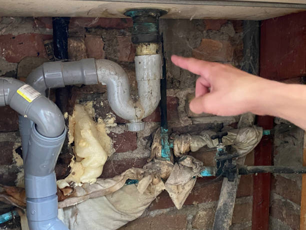 Best Residential water damage restoration  in Silver Springs Shores, FL