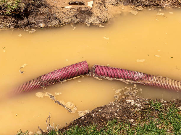 Best Water damage mitigation services  in Silver Springs Shores, FL