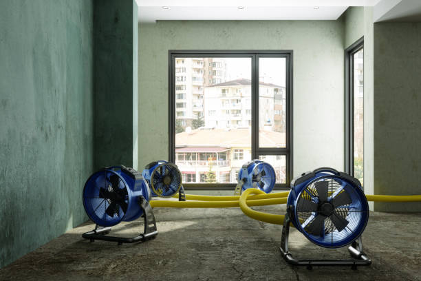 Best Ceiling water damage repair  in Silver Springs Shores, FL